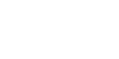 Logo LighLink