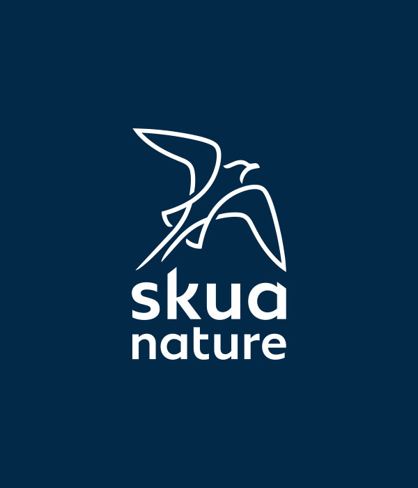 Skua